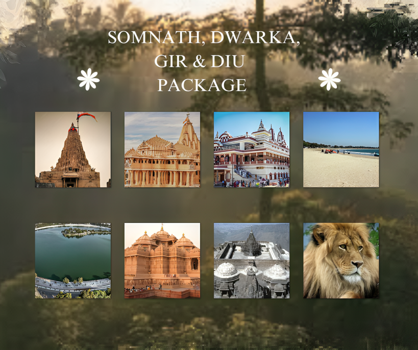 Dwarka Somnath Gir Diu Tour Package