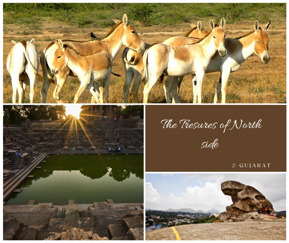 TREASURE OF NORTH GUJARAT